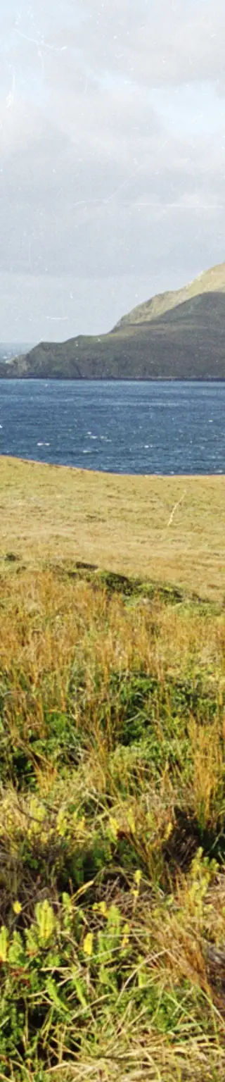 Unvergesslicher Landgang am Ende der Welt